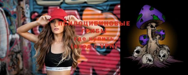 стафф Богданович