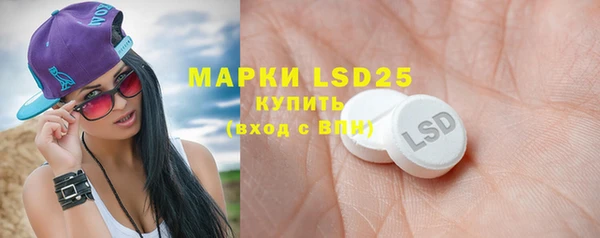 стафф Богданович