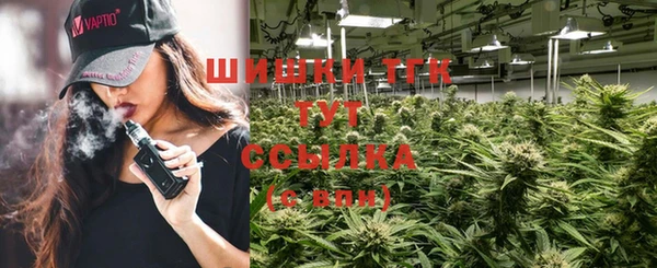 стафф Богданович