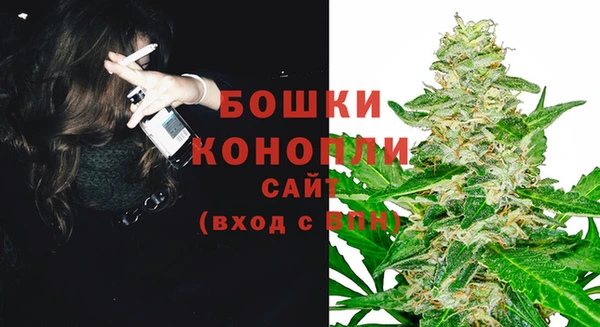 2c-b Богородицк