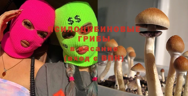 стафф Богданович