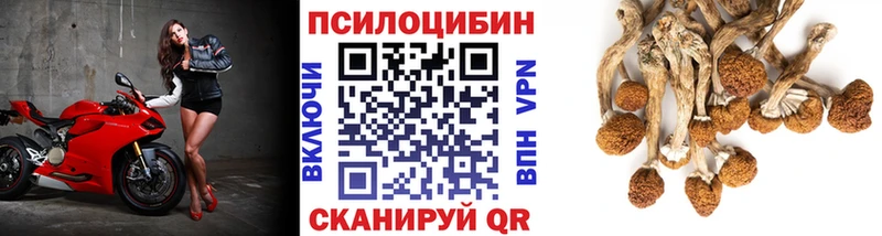 Галлюциногенные грибы MAGIC MUSHROOMS  Волгореченск 